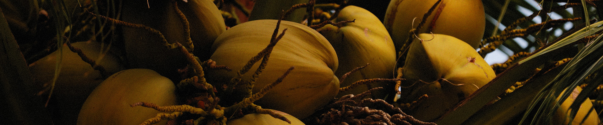 ����luck18(�й���)-�ٷ���վ