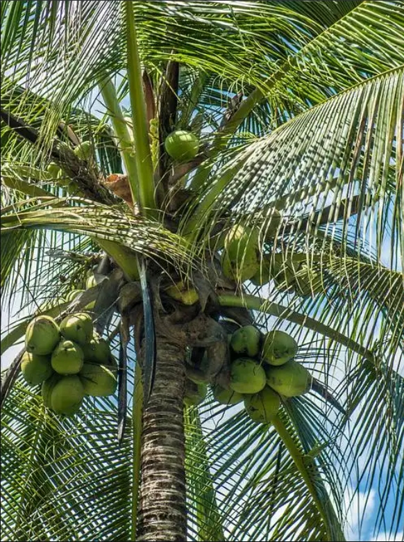 1747731616381826.png ΢ÐŽØÍ¼_20250520152716.png