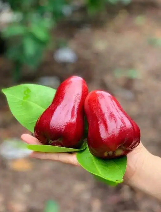 ΢�Ž�ͼ_20250606145605.png