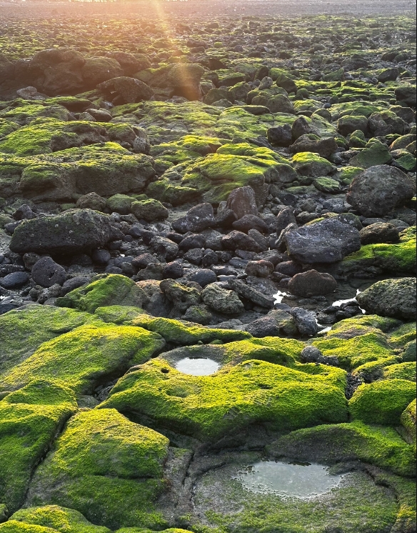 ΢�Ž�ͼ_20250611155212.png
