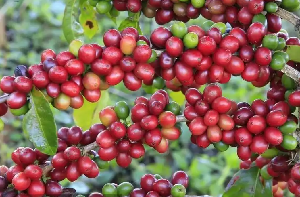 1765955966869909.png ScreenShot_2025-12-12_110648_591.png