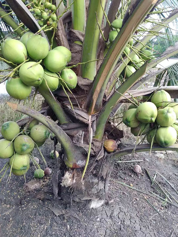 新利luck18(中国区)-官方网站