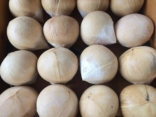 新利luck18(中国区)-官方网站