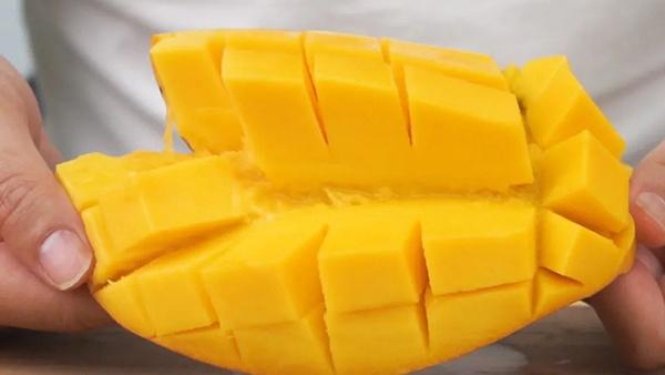 新利luck18(中国区)-官方网站