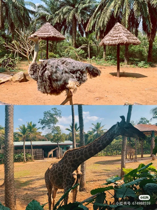 新利luck18(中国区)-官方网站