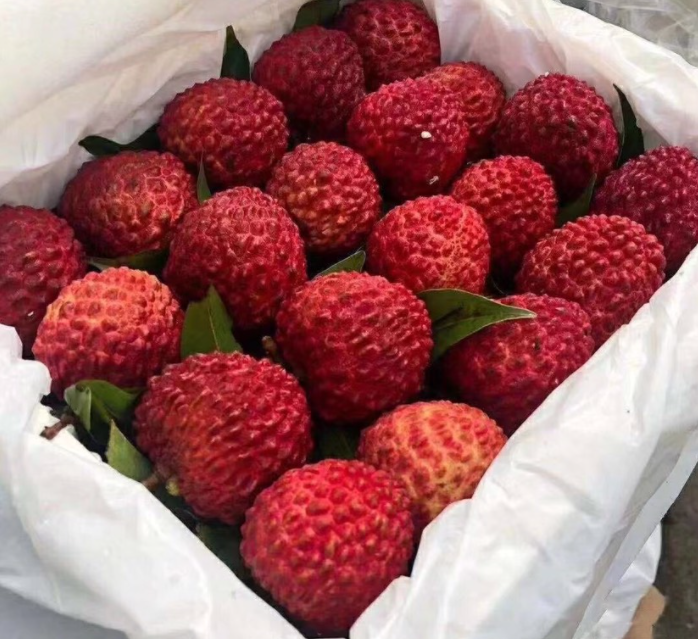 新利luck18(中国区)-官方网站