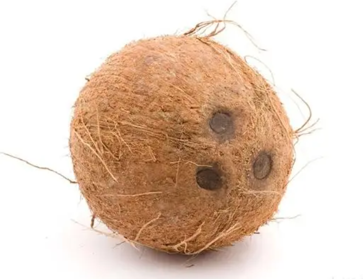 新利luck18(中国区)-官方网站