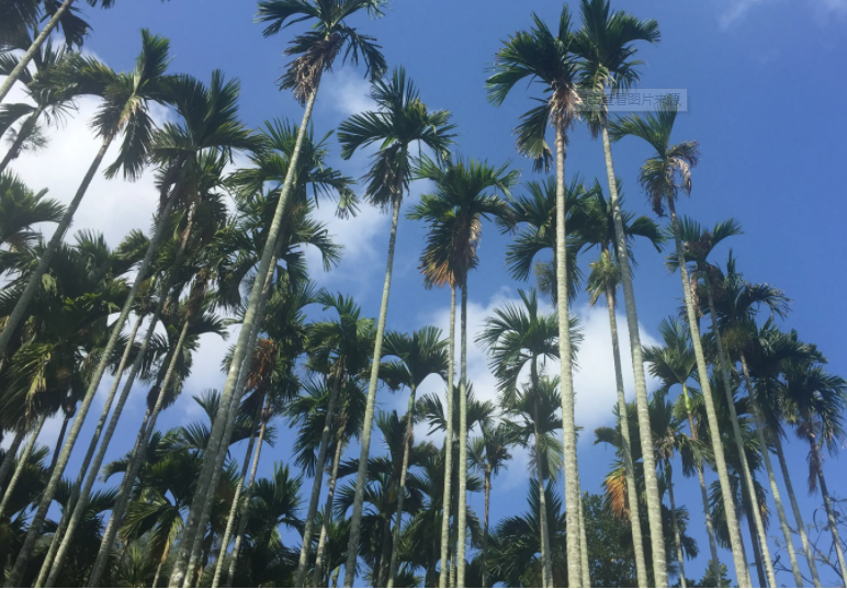 新利luck18(中国区)-官方网站