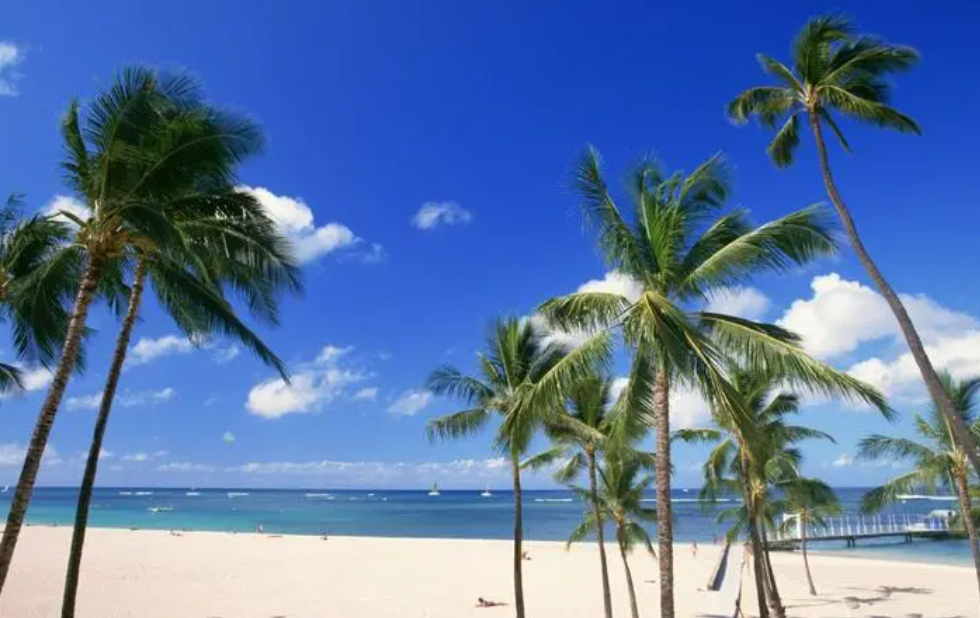 新利luck18(中国区)-官方网站